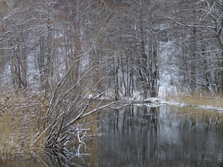 Schliersee en hiver petit lac des Alpes de Bavière en Allemagne