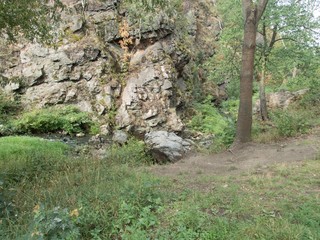 small stream in divoka sarka park in prague