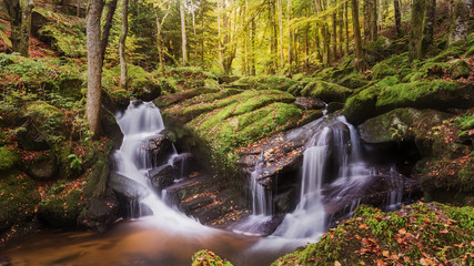 cascade de la Druid valley
