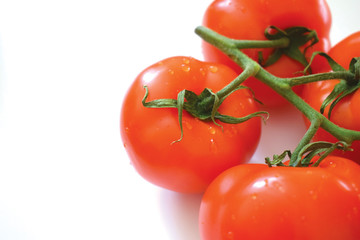 Fresh red tomatoes. Drops of water on the tomatoes.