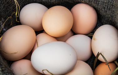 Village. Rural. A basket of chicken eggs, eggs freshly collected from the nest.