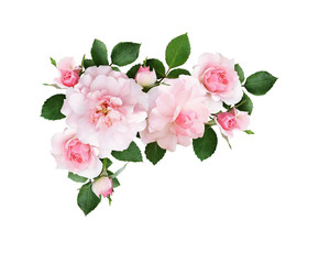Naklejka premium Różowe kwiaty róży i zielone liście w kwiatowym układzie narożników