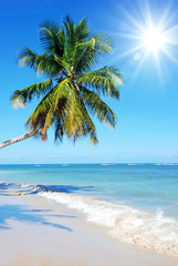 Fototapeta na wymiar Welcome to Paradise! Sandy tropical beach with coco palms - Sandstrand mit Palmen, Sonne und Meer - Postkarte