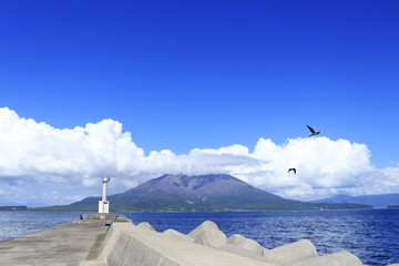 Fototapeta na wymiar 海と桜島