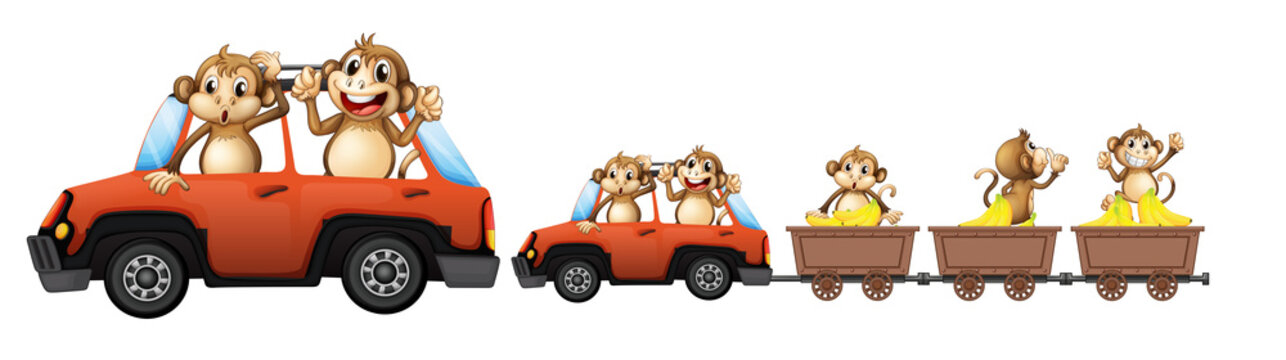 Monkey family on the car