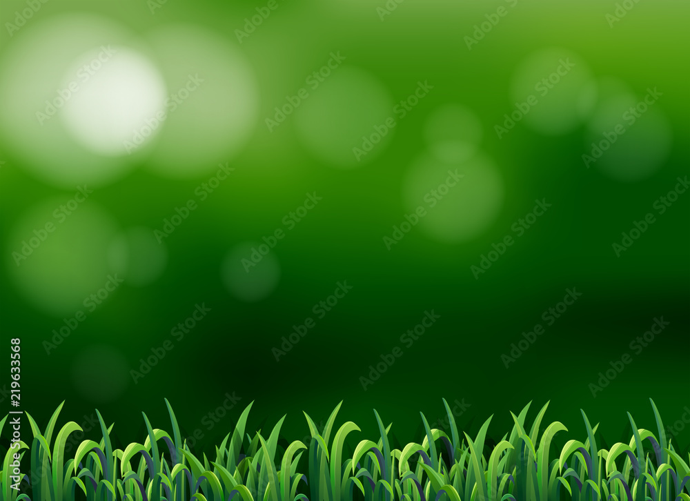 Wall mural a grass on blur background