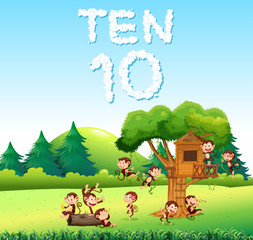 Ten monkey at the forest