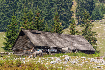 A Small Farm in the Mountains