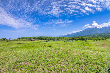 Obraz premium 快晴の自然公園