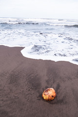 Caribbean sea in Tortuguero beach in Costa Rica