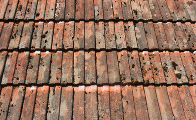 Rusty roof background