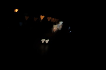 Boogie, car lights or street lights.