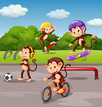 Monkey playing at playground