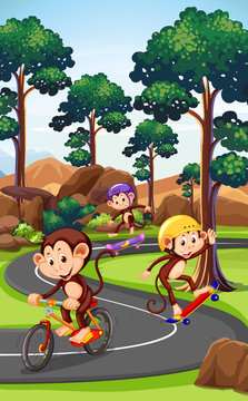Monkey playing extreme sport