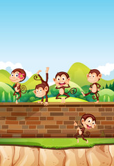 Obraz na płótnie Canvas A group monkey playing at brick wall