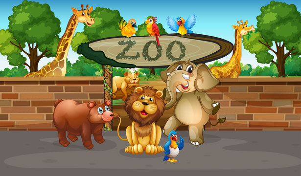 Happy animals in the zoo