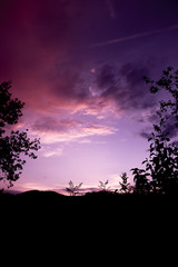 Coucher de soleil silhouette arbre