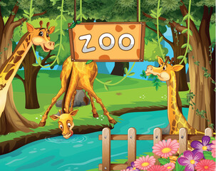 A giraffe family in the zoo - obrazy, fototapety, plakaty