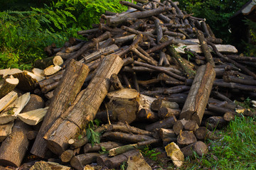 Forest in the street for firewood