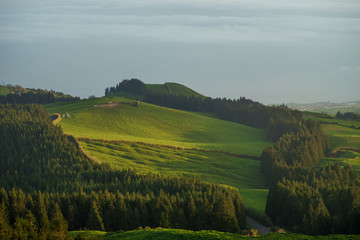 Green field on hill with small pieces of forest during Colorful Sunrise