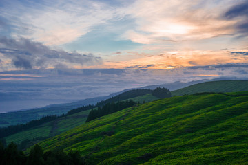 Fototapeta premium Green field on hill with small pieces of forest during Colorful Sunrise