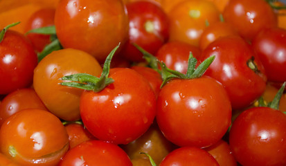 a lot of red tomatoes close-up