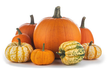 Various pumpkins on white