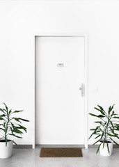Concept of new housing, New apartment symbol, Modern entrance door with flowers and mal to European apartment background