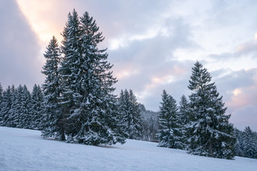 Sonnenuntergang beim Wandern im Schnee in Füssen