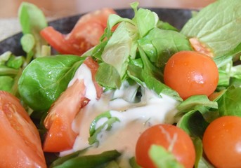Salatteller mit Tomaten, grünem Blattsalat, und Joghurt-Dressing