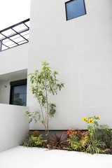 新築の家の植栽