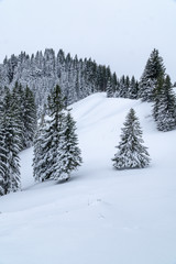 Verschneite Bergwelt beim Wandern im Schnee in Füssen