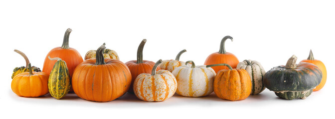 Fototapeta premium Many Pumpkins on white background