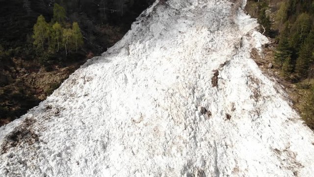 Aerial: drone flying over huge snow avalanche fallen in springtime in alpine valley covedered by forest woodland 