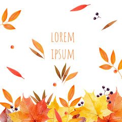 Fototapeta na wymiar watercolorl leaves and berries autumnal abstract banner