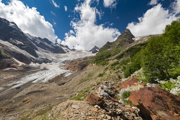 The path to the Alibek glacier. Flowering herbs. Dombay.