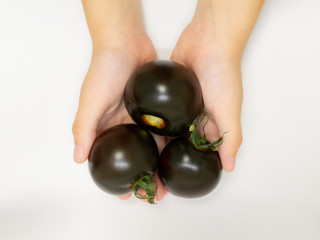 Child`s hands holding black tomatoes