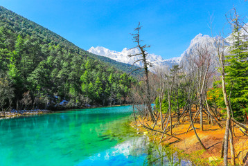Lakes and forests at the foot of the Lijiang Snow Mountain in China in sunny summer