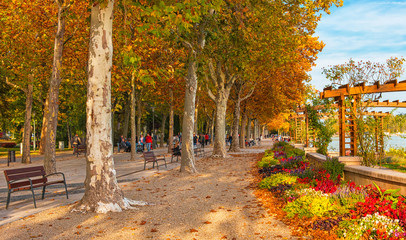 Naklejka premium Old town of Balatonfüred, Hungary in autumn