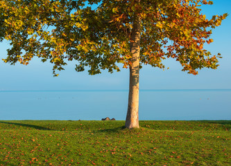 Nice autumnal scene at lake Balaton, Hungary