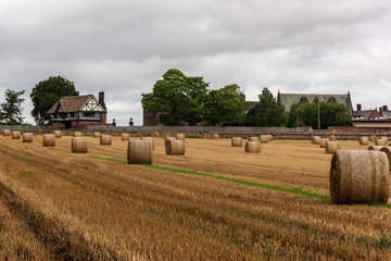 UK Straw bales in evening light