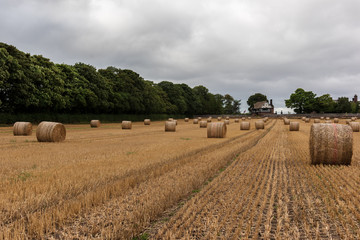 UK Straw bales in evening light