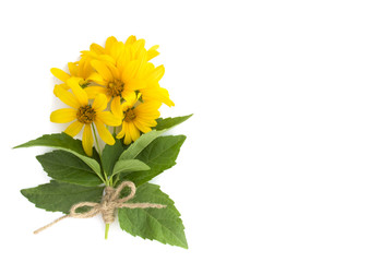 bouquet of yellow daisies and leaves close-up isolated on white background
