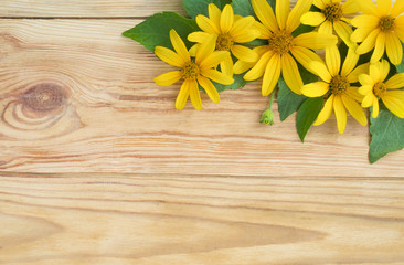yellow daisies close-up on rustic wooden table background.