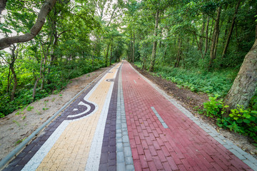 Obraz premium bicycle path.