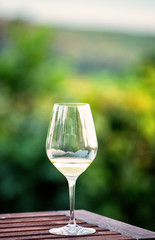 White wine on the table in the garden