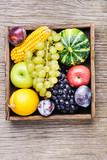 Beautiful autumn harvest