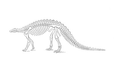 Fototapeta na wymiar Illustration of dinosaur 