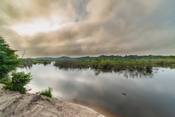 landscape, mangroves