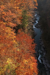 赤茶色に染まった渓谷